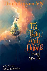 toi-thay-anh-duong-trong-dem-toi-thichtruyenvn.jpg